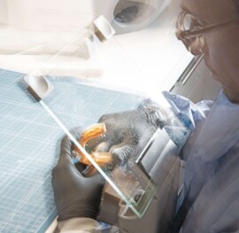 Lab worker crafting individual teeth models